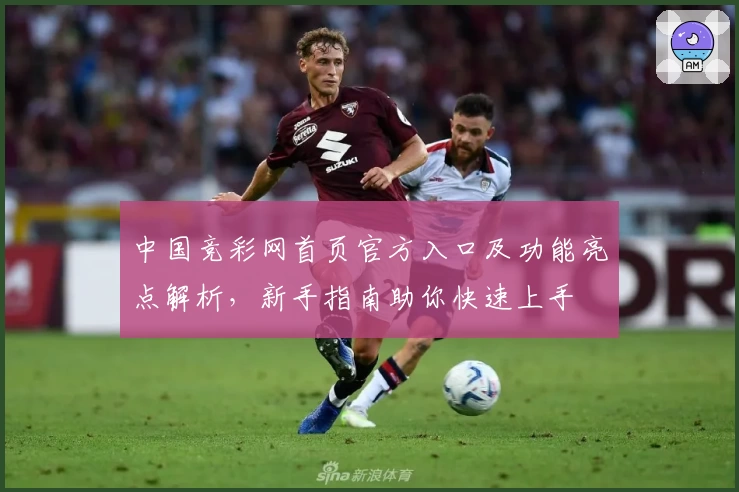 中国竞彩网首页官方入口及功能亮点解析，新手指南助你快速上手