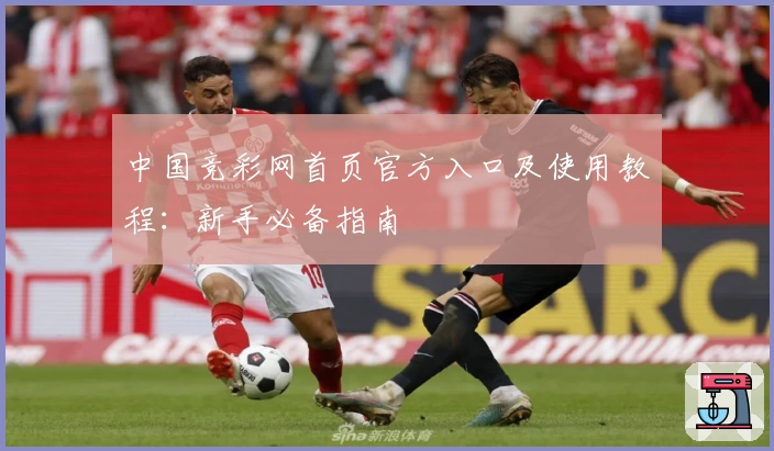 中国竞彩网首页官方入口及使用教程：新手必备指南