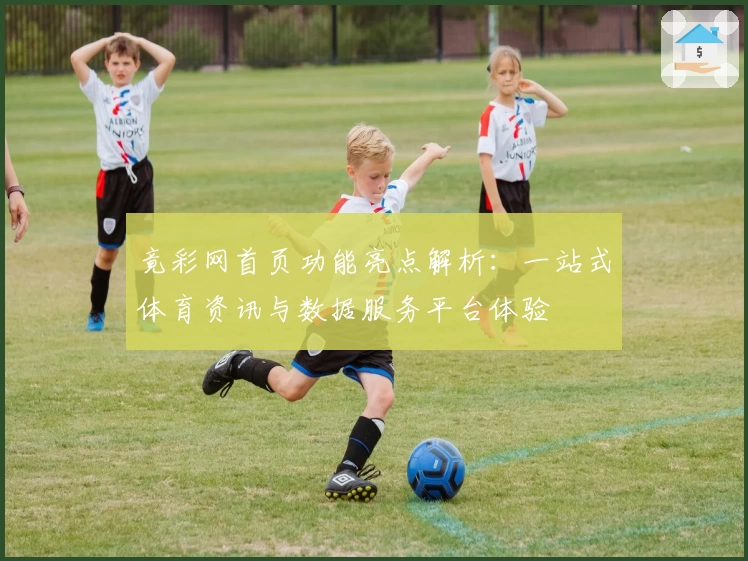 竟彩网首页功能亮点解析：一站式体育资讯与数据服务平台体验